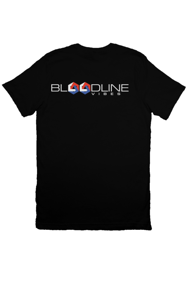 USA Bloodline Vibes Sportswear T-shirt